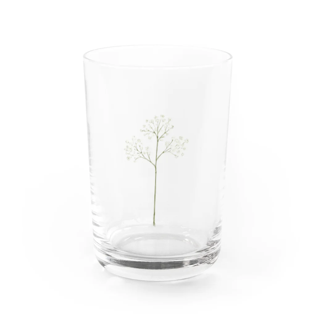 くるもり雑貨店のdonguri to ie.×くるもり雑貨店コラボかすみ草 Water Glass :front