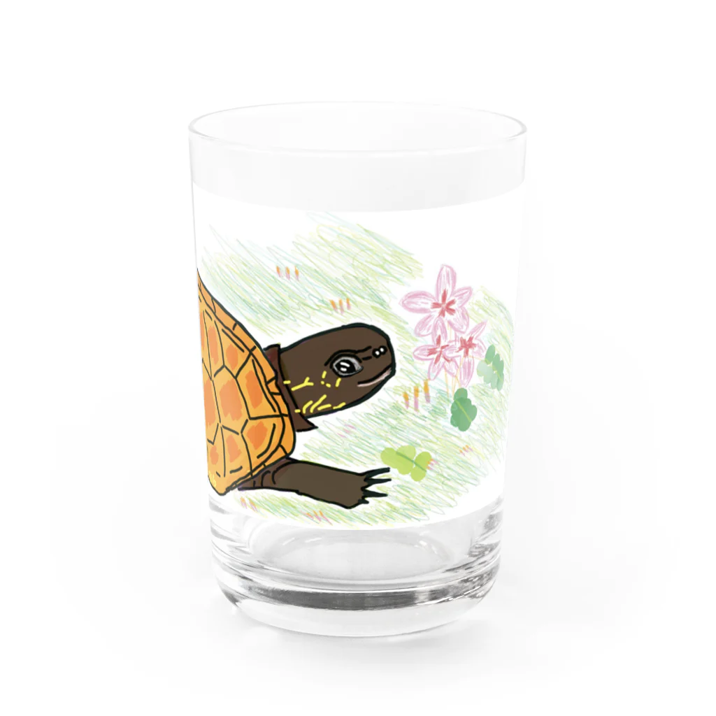 316(MIHIRO)のクサガメと花 Water Glass :front