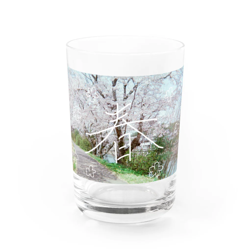 かわいいですよねの春がきた Water Glass :front