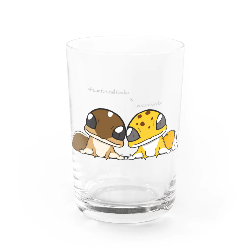 ぴよのカエル屋さんのニシアフ＆レオパ Water Glass :front