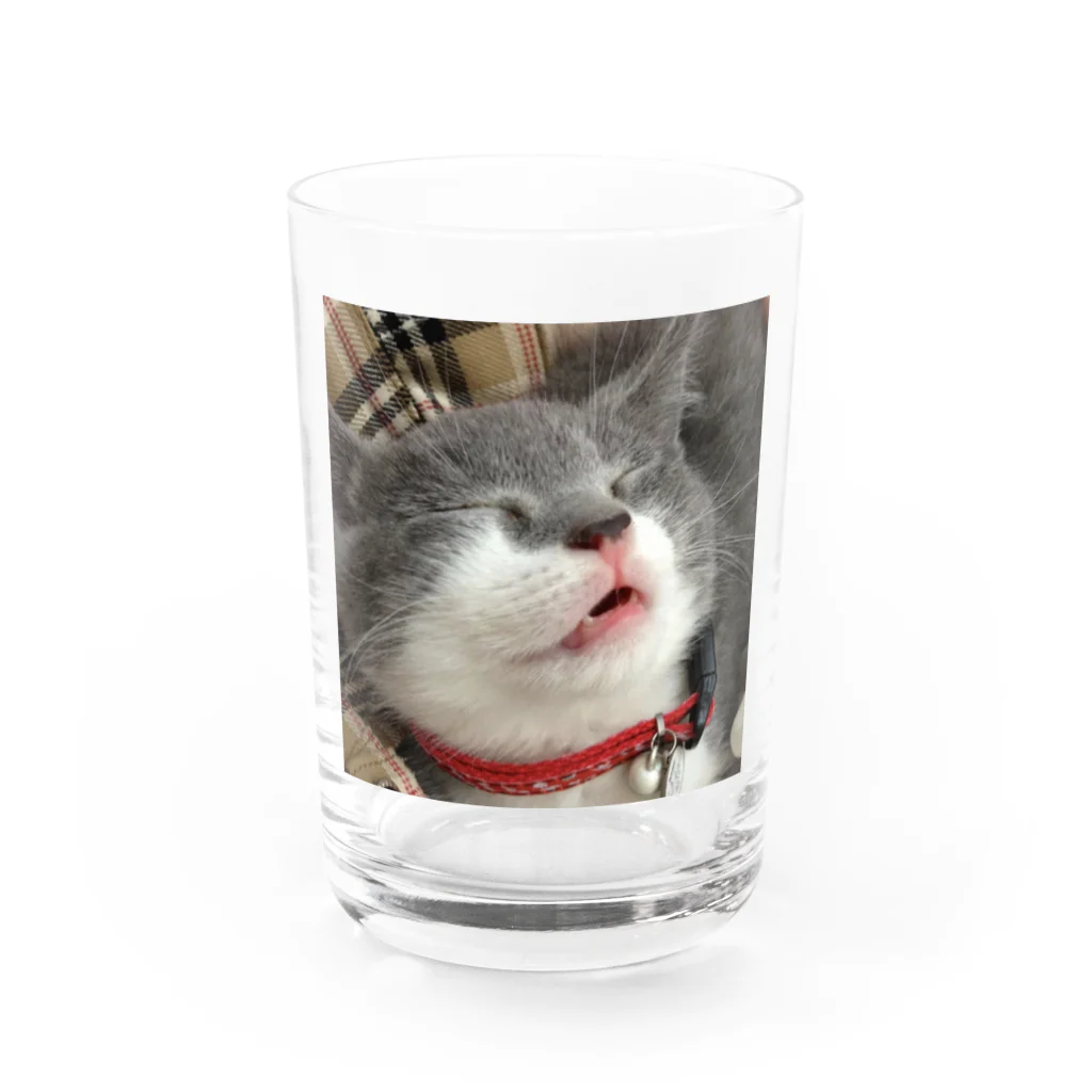 もも＆さるりーの子猫さるりー Water Glass :front