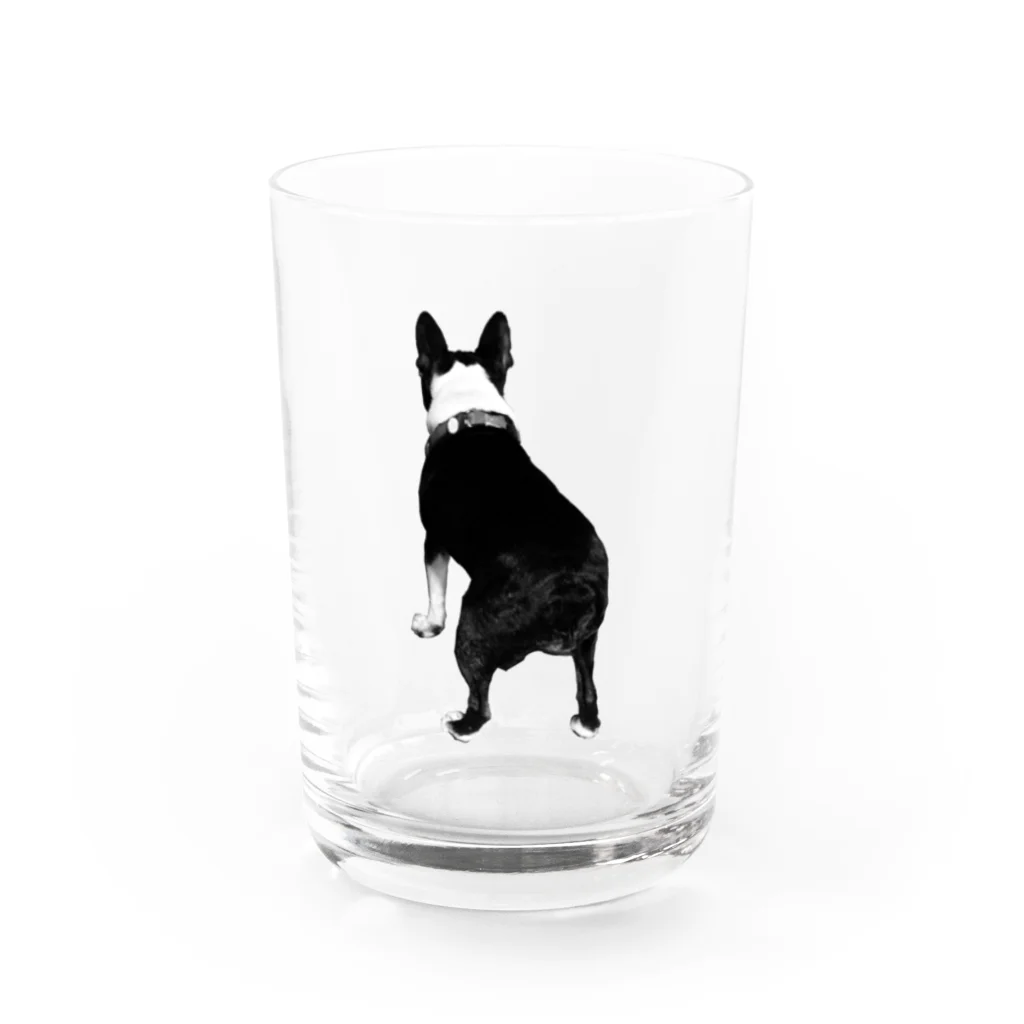 ナッツがかわいいのおしりもかわいいナッツ Water Glass :front