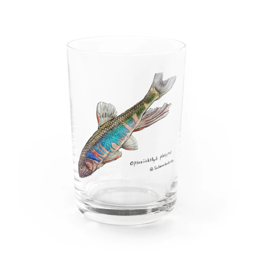 魚…ですか？のオイカワ Water Glass :front