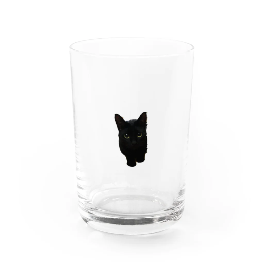 ウマムのウーたん Water Glass :front