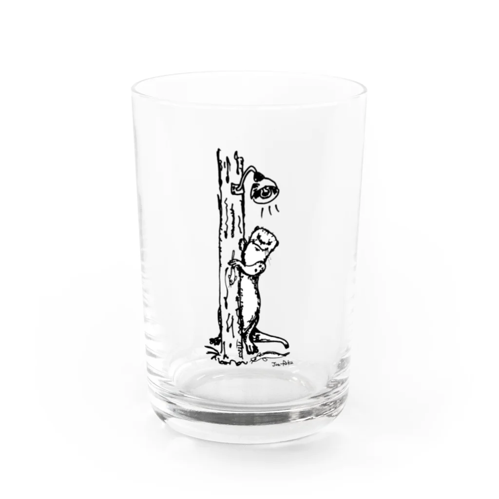 馴鹿 Jun-Rokuのカワウソちらり Water Glass :front