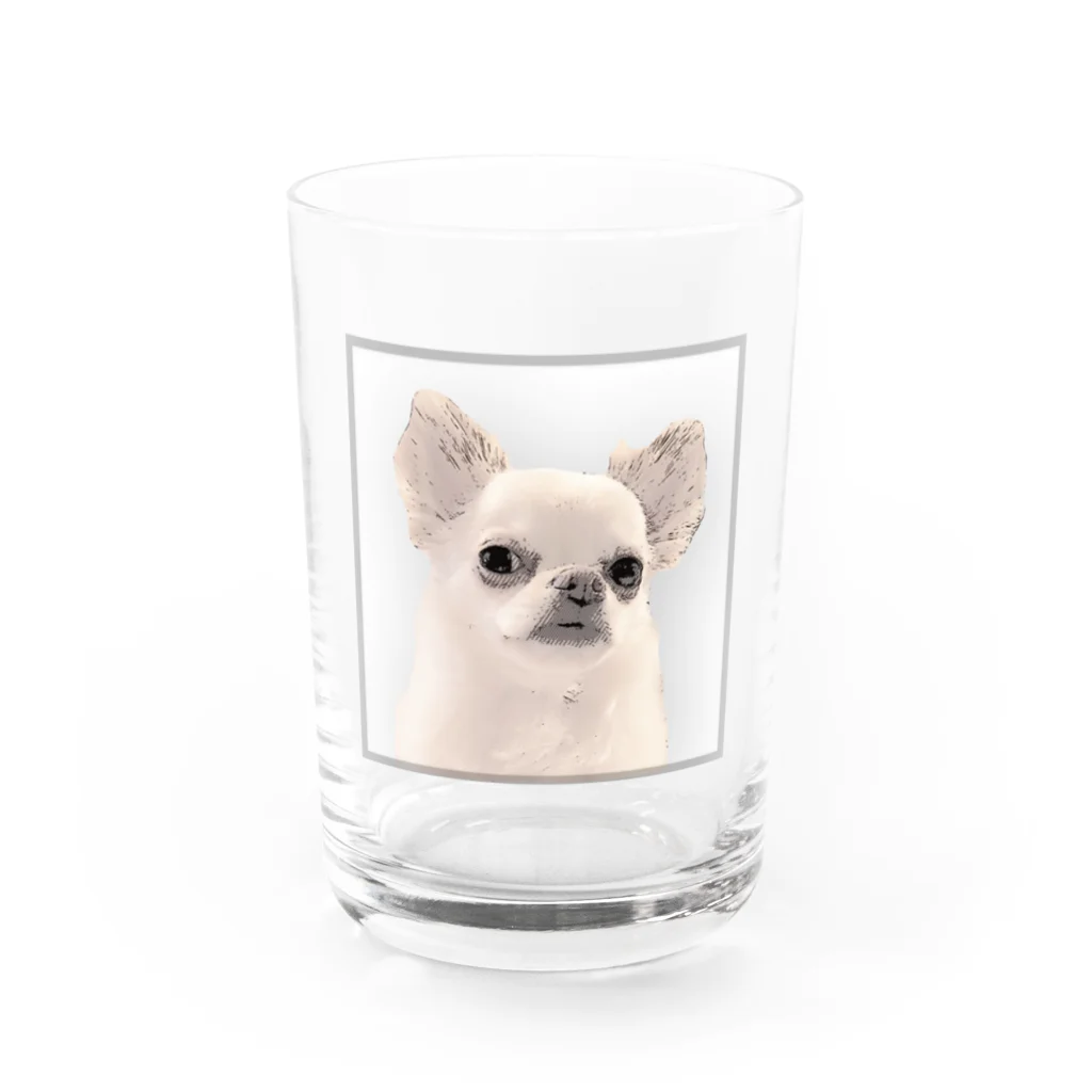 stellaforte_kyotoのシュールまるたろう（看板犬） Water Glass :front