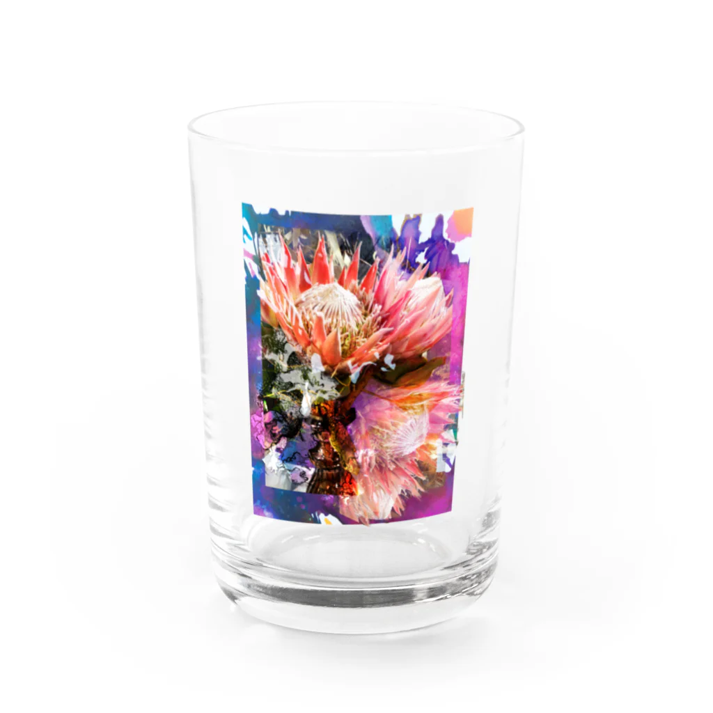 hugging love ＋《ハギング ラブ プラス》の+ Fete des fleurs 01《king Protea》 Water Glass :front