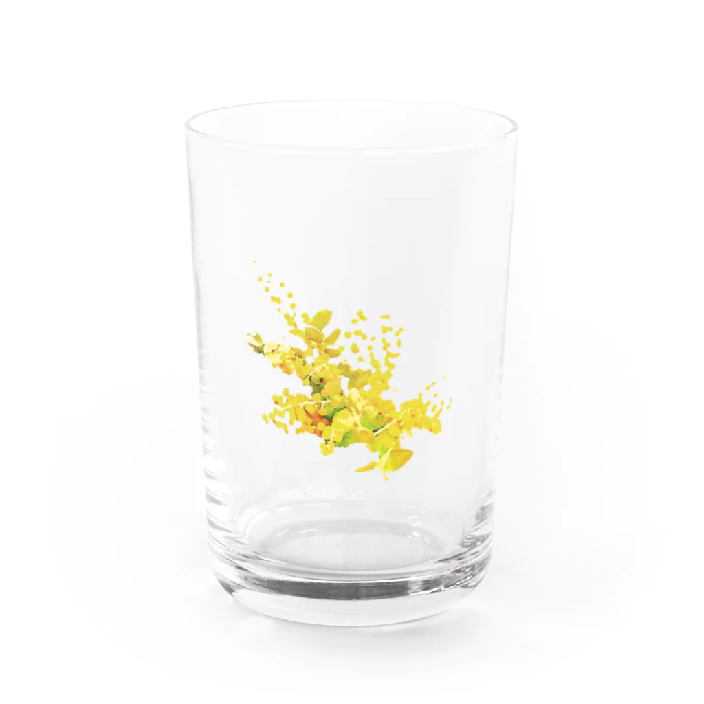 ！あんにゅいぽっぽ！のMIMOZA Water Glass :front