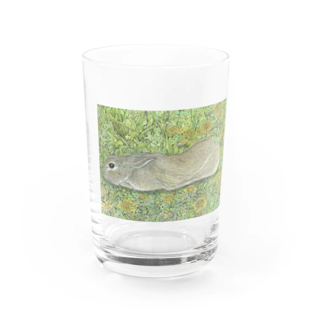 blue deer farmのうさんぽ日和 Water Glass :front