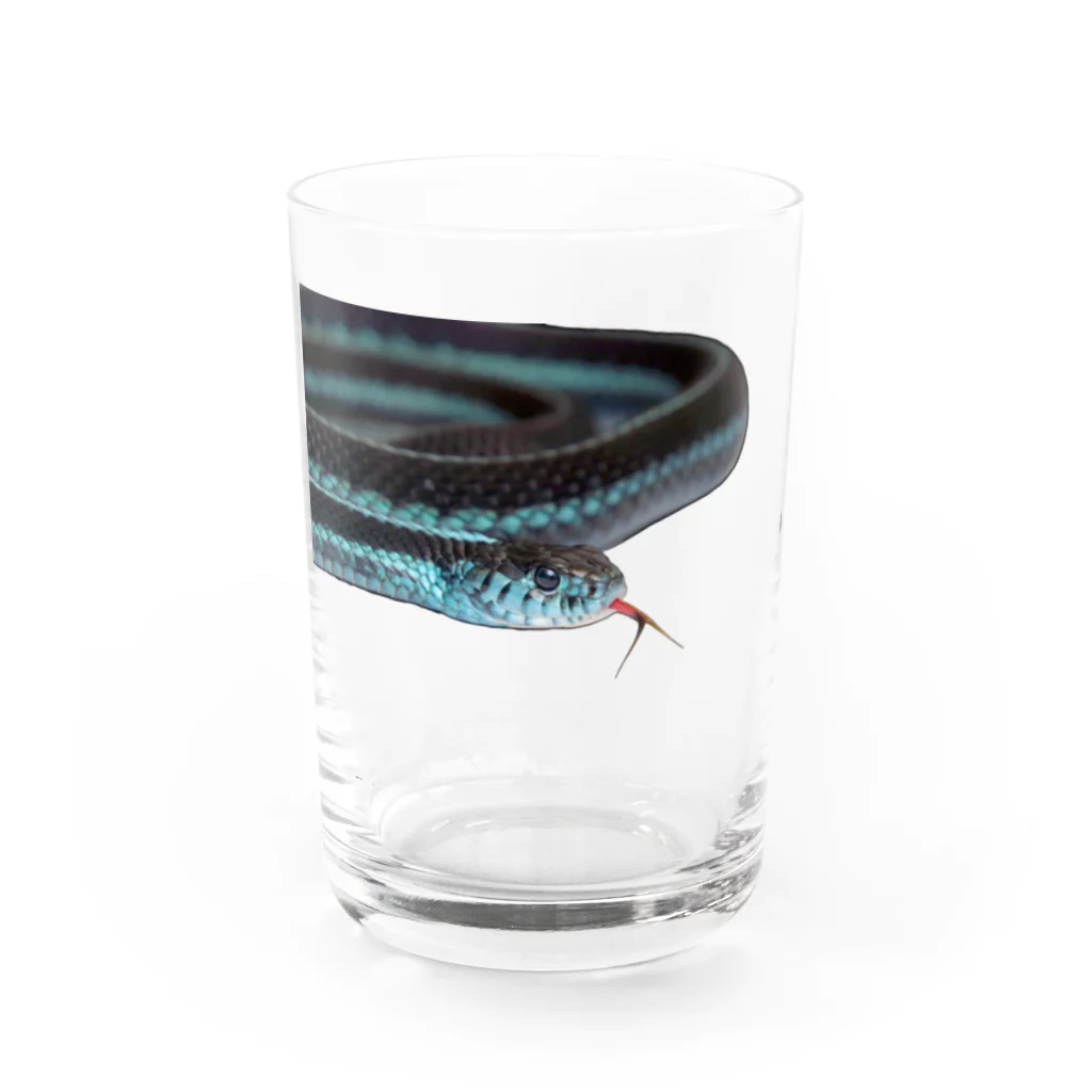 mahiruのpikkaring' Water Glass :front