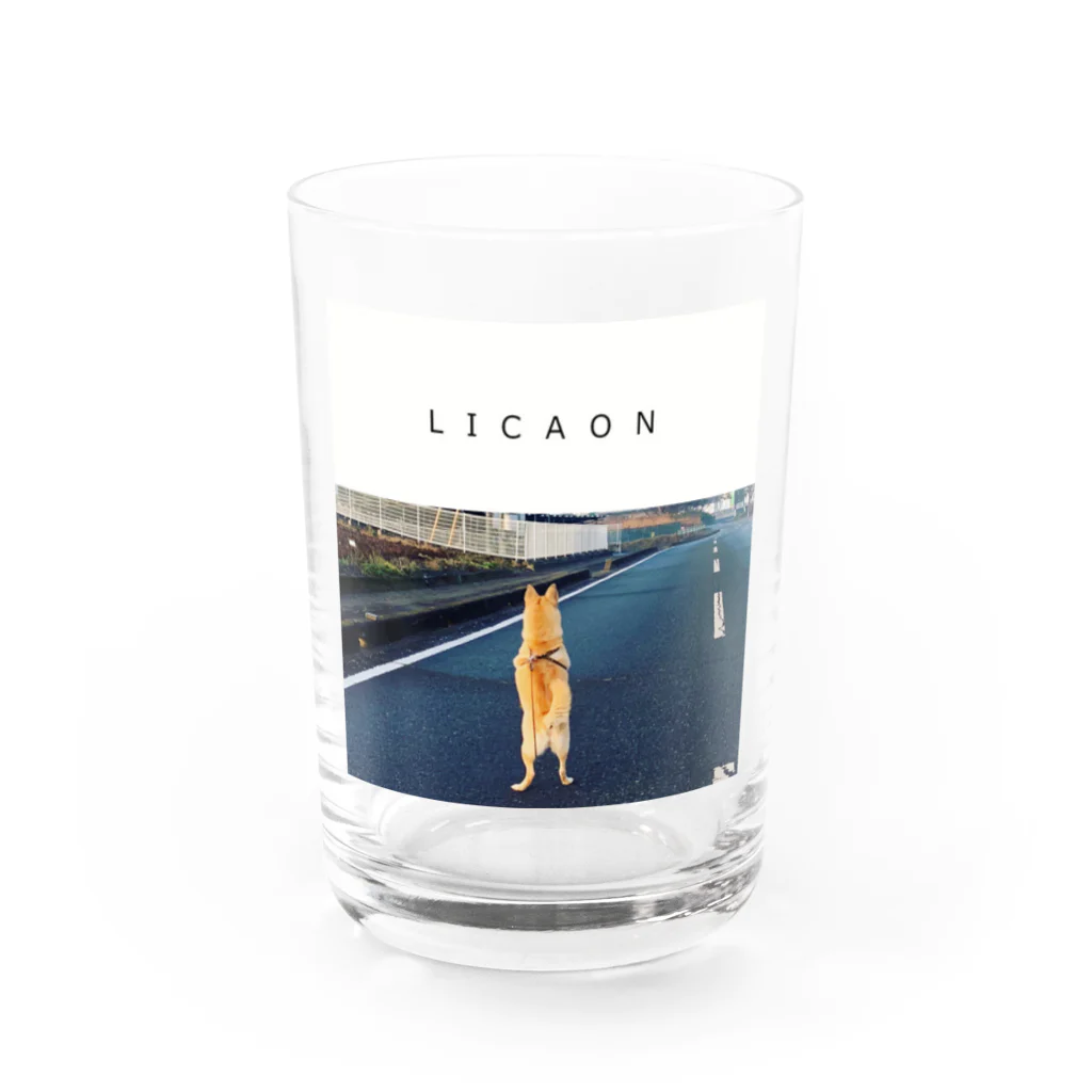 リカオンのSTAND UP LICAON Water Glass :front