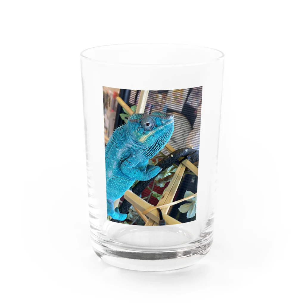 MEG's カメレオンのカメレオンのメレさん Water Glass :front