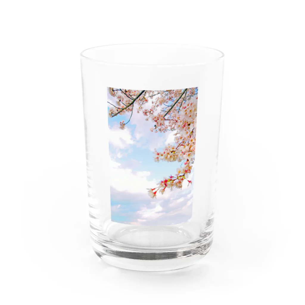 Tio Heartilの空と桜 Water Glass :front