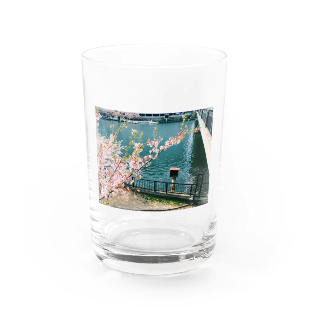 うさぎちゃんアイランドの葉桜天満橋 Water Glass :front