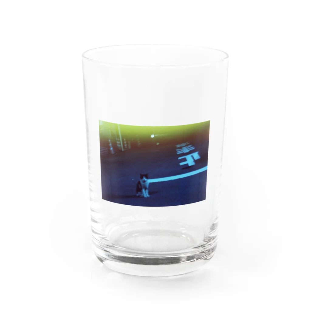 ✶ uopn ✶の夜の猫と止まれ Water Glass :front