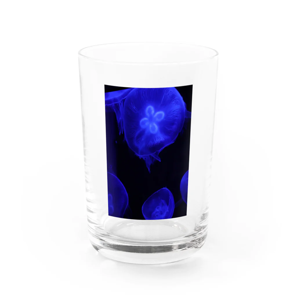 tamaの海月 Water Glass :front