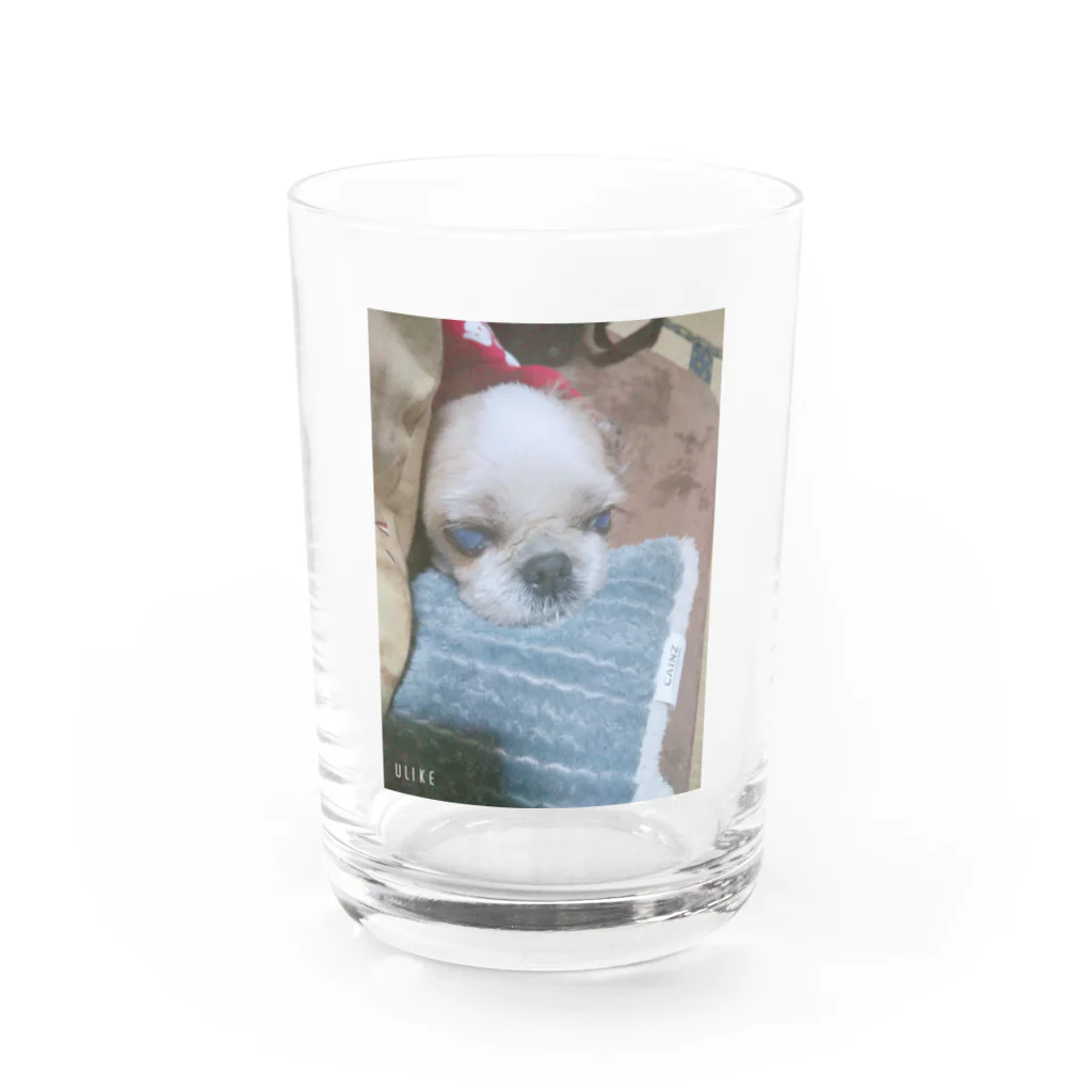 Chigu:ℓσνє♡の可愛いランちゃん Water Glass :front