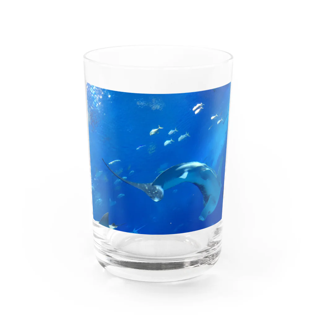 TENSHONのジンベイザメ Water Glass :front