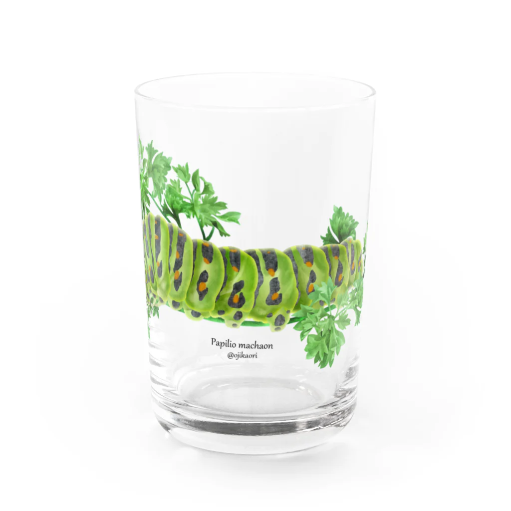 OJIKのキアゲハイモムシ Water Glass :front