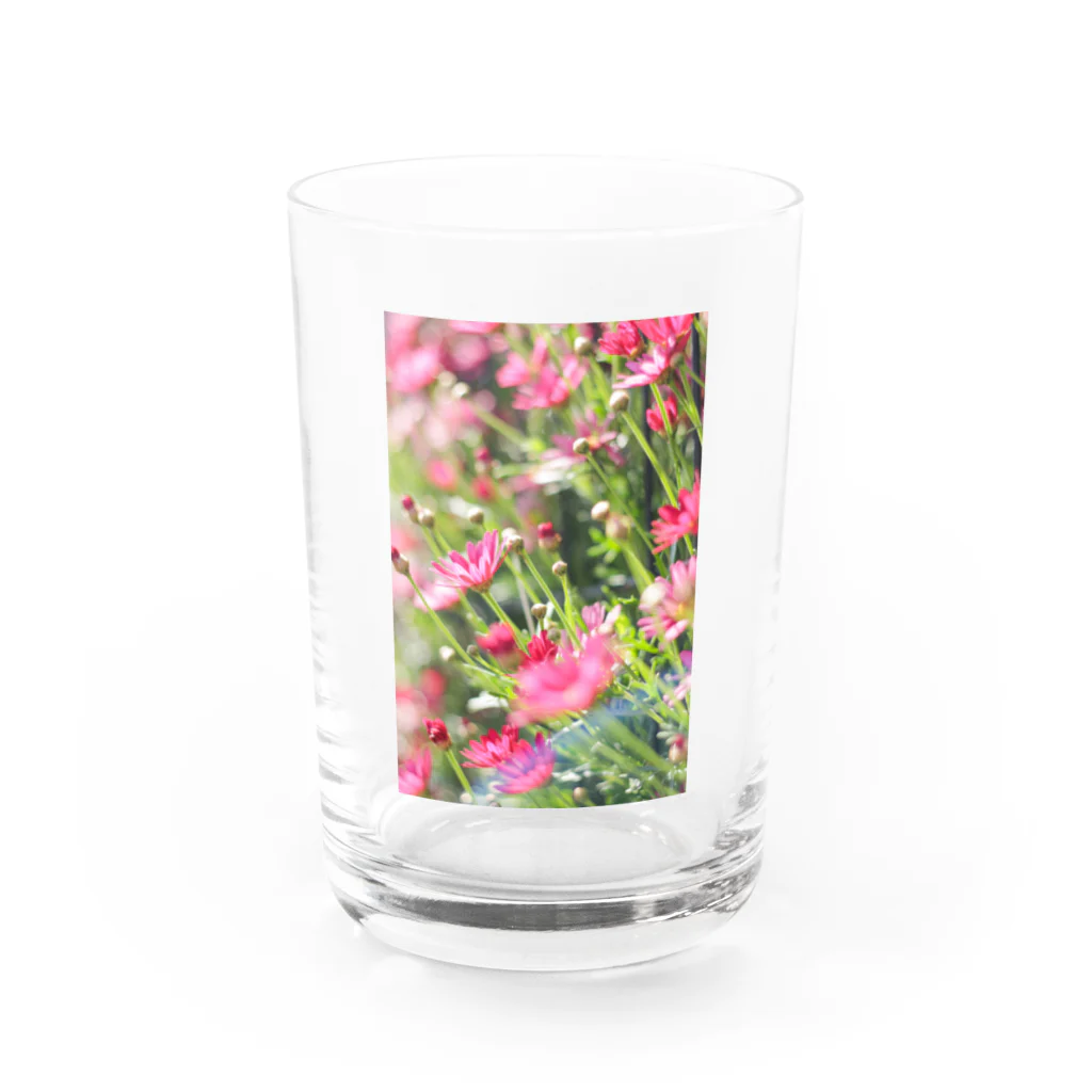 かぴばらのFLOWERS-ぴんく- Water Glass :front