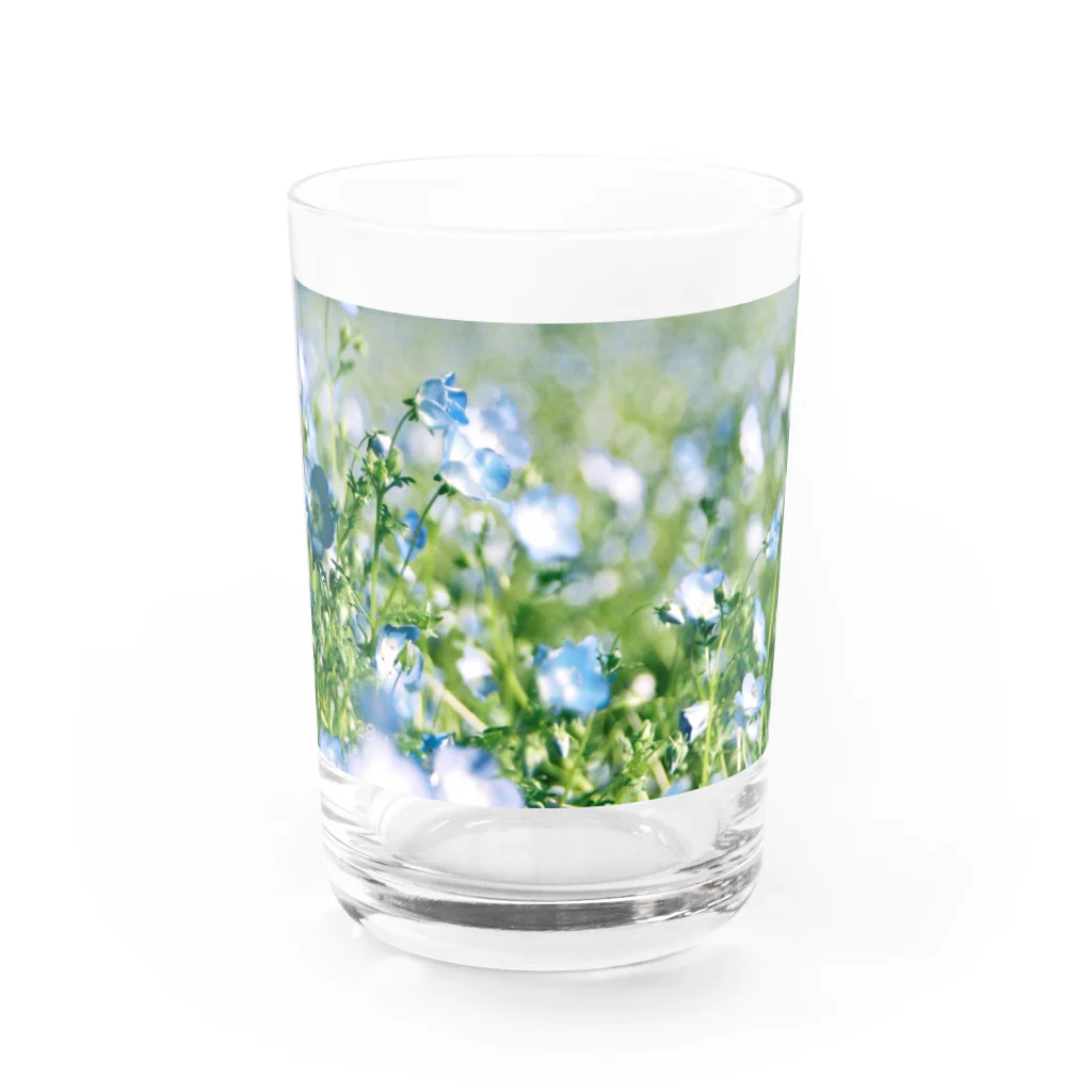 はち / きまぐれハチログのフィルム 青の花ネモフィラ Water Glass :front