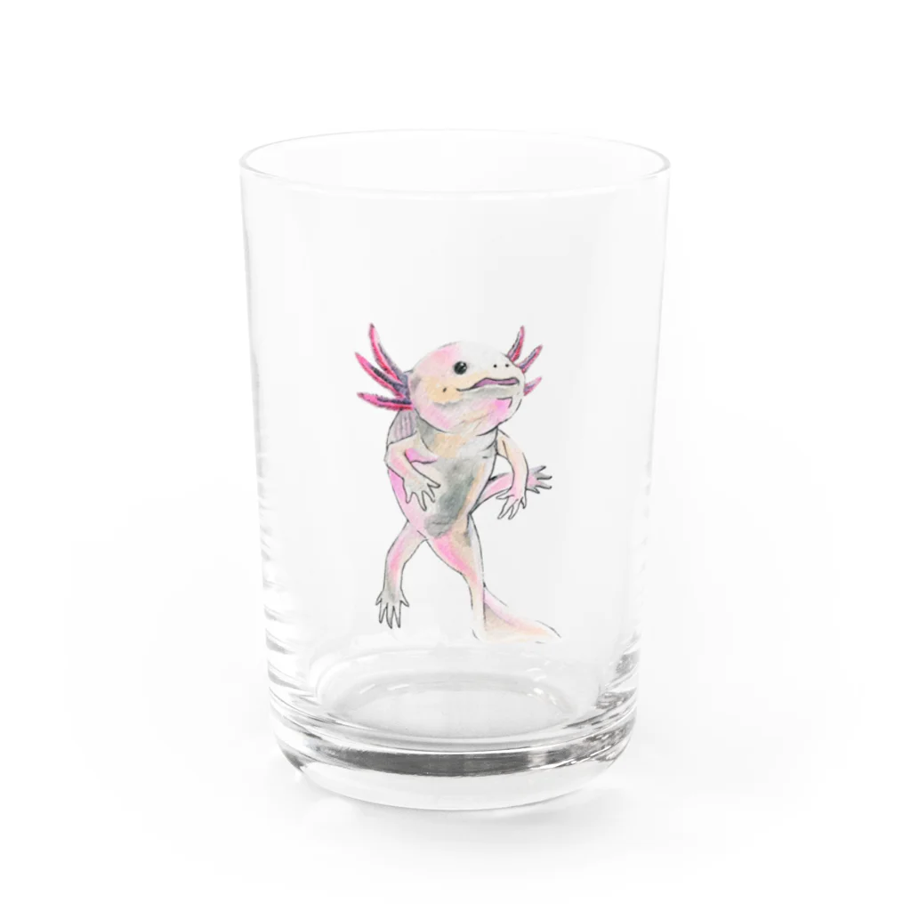 MasakiRockのウーパールーパー Water Glass :front