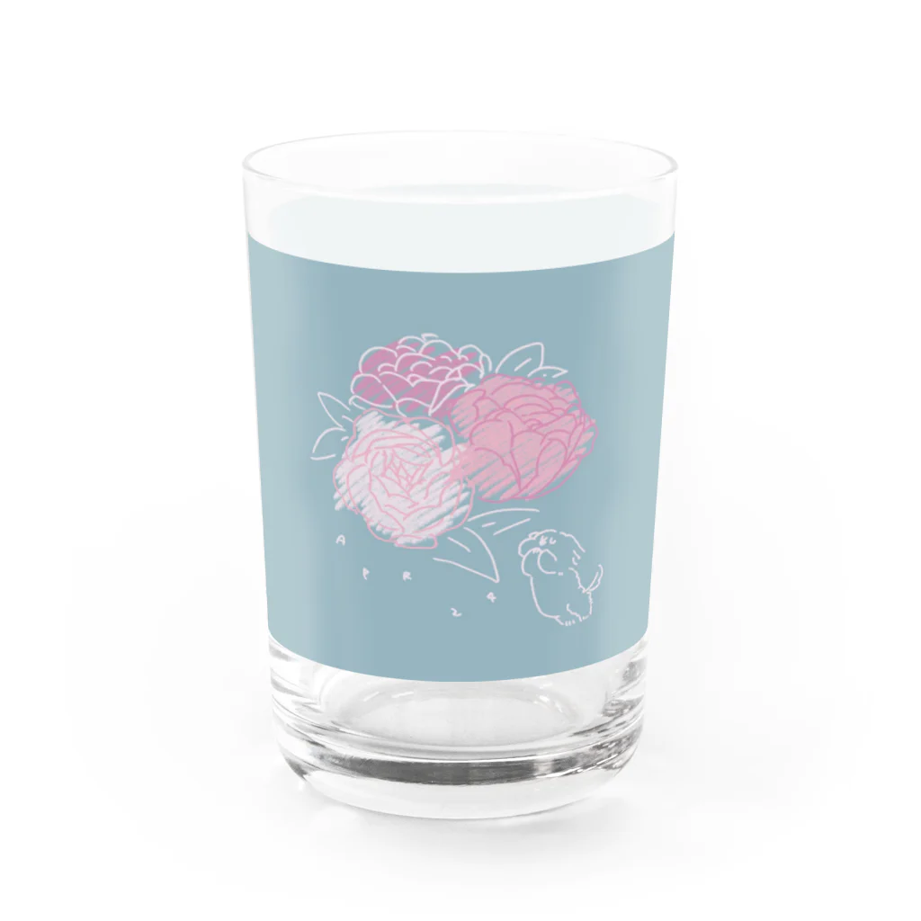 ととめめ/ totomemeのととめめ本日のお花：4月24日 Water Glass :front