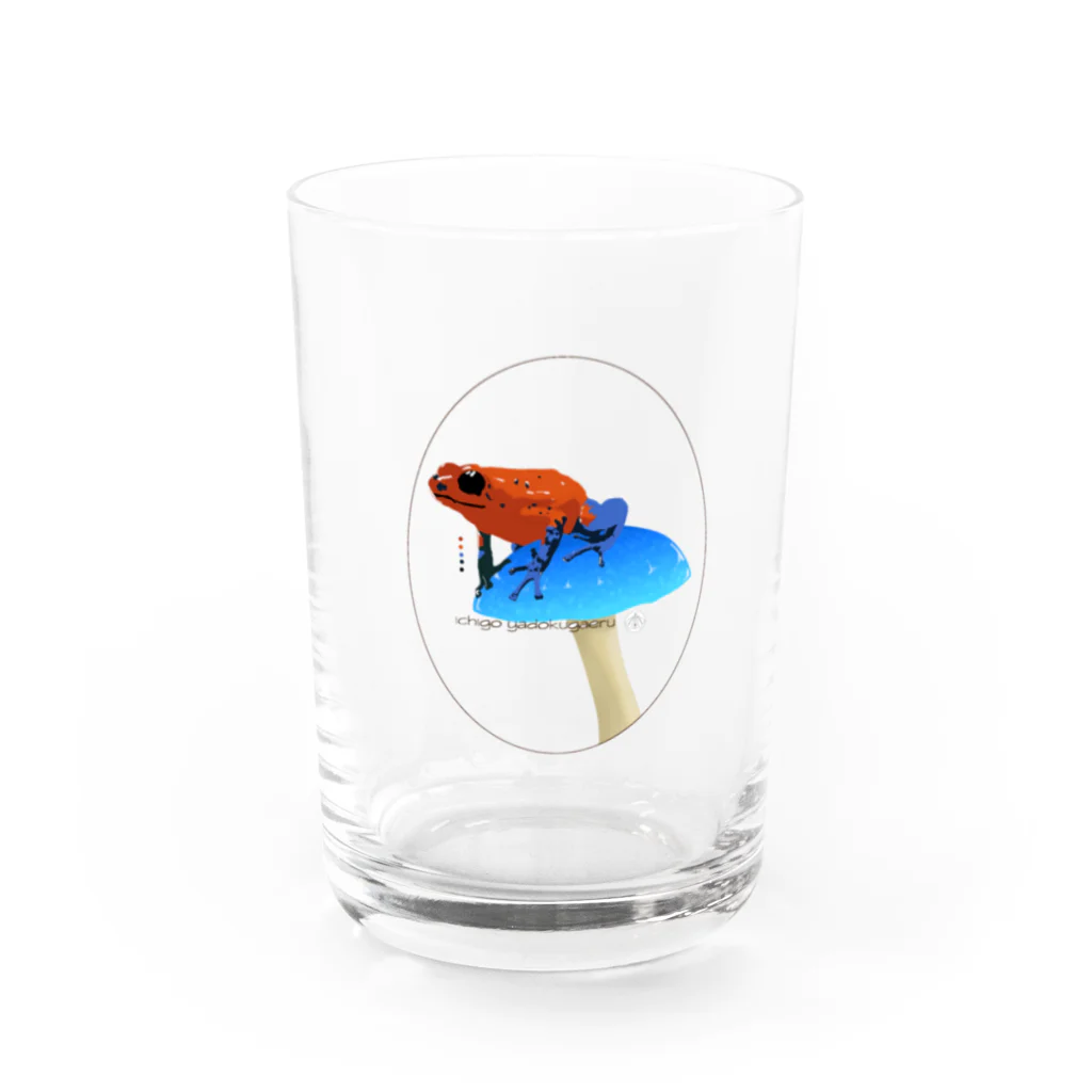 蜏【 石龍子堂-TOKAGEDO-】のイチゴヤドクガエル Water Glass :front