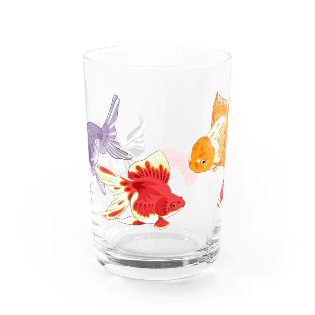 あやるの金魚たち/背景無し Water Glass :front