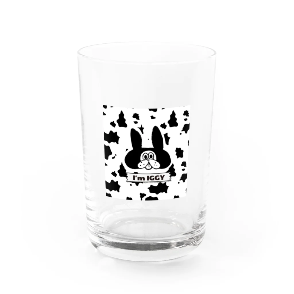 I'm IGGYの牛イギー Water Glass :front