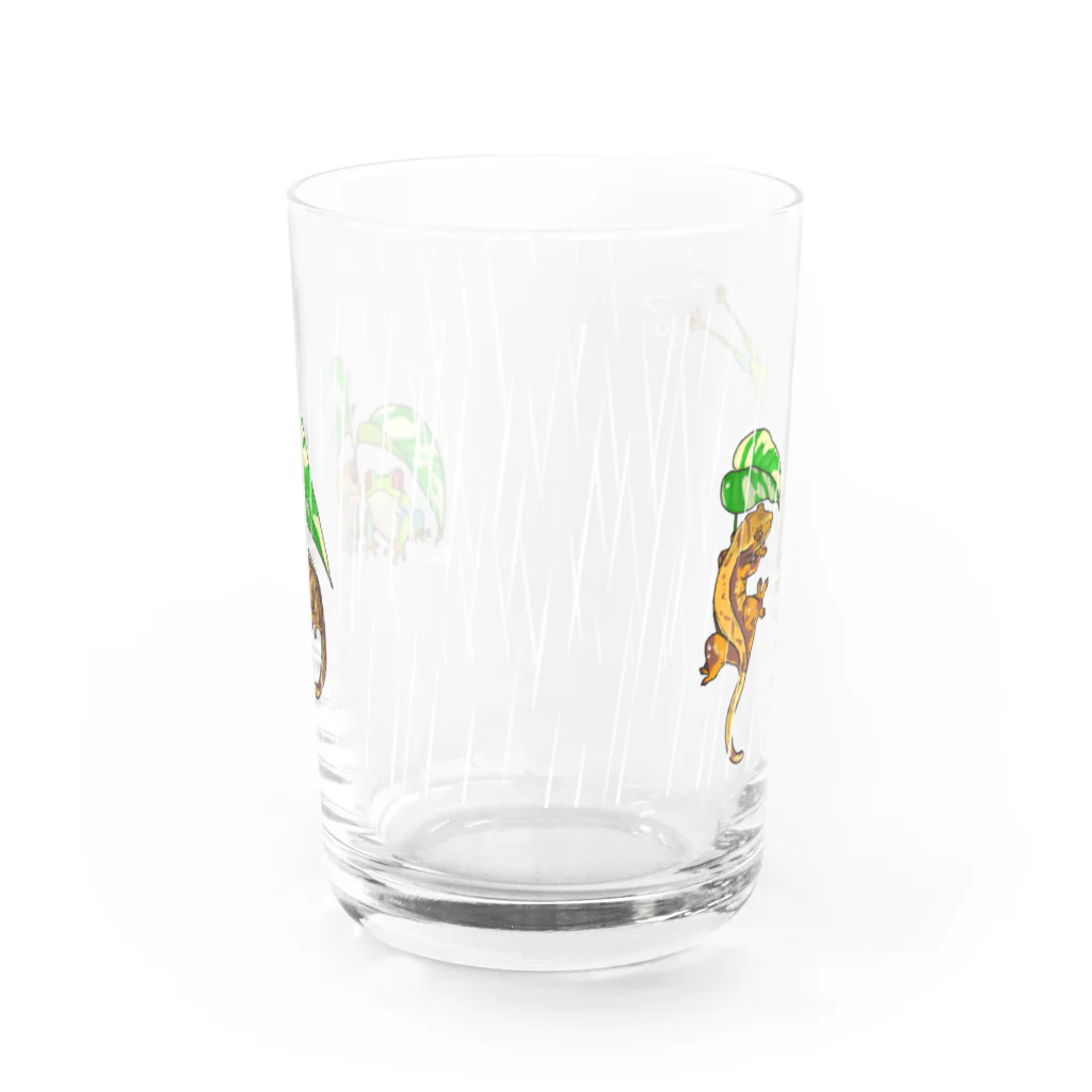 檸檬飴の雨の日のアカメアマガエルとクレステッドゲッコー(ピンストライプ) Water Glass :front