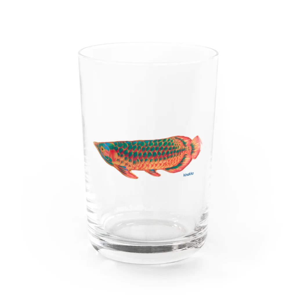キナッコのキナッコさんちのアジアアロワナ(赤) Water Glass :front
