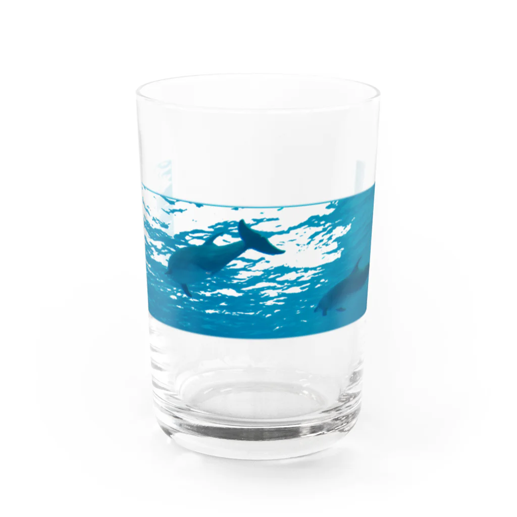 坂巻通り衣料品店の🐬ඩොල්ෆින් සමඟ Water Glass :front