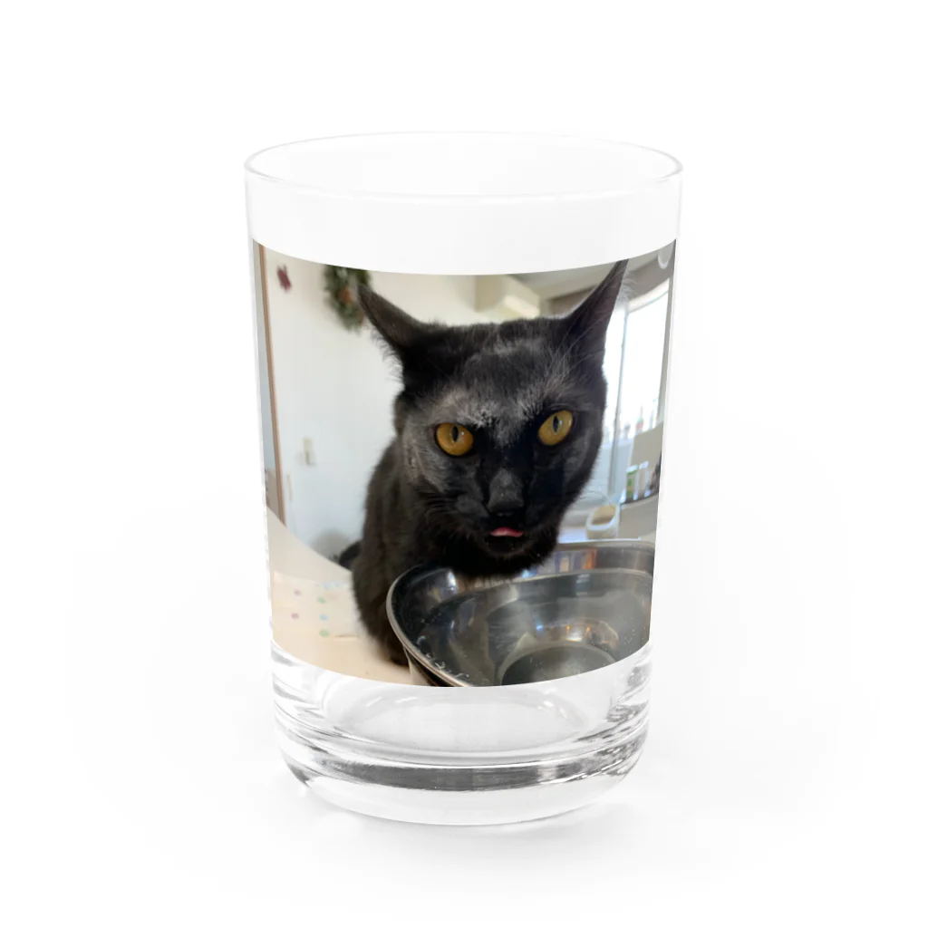 proneet experienceの強力粉150グラム薄力粉50グラム Water Glass :front