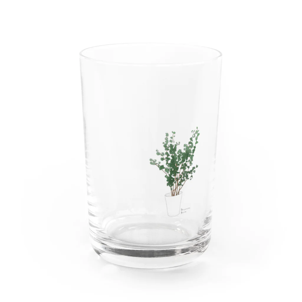 しおりのベンジャミンバロック Water Glass :front