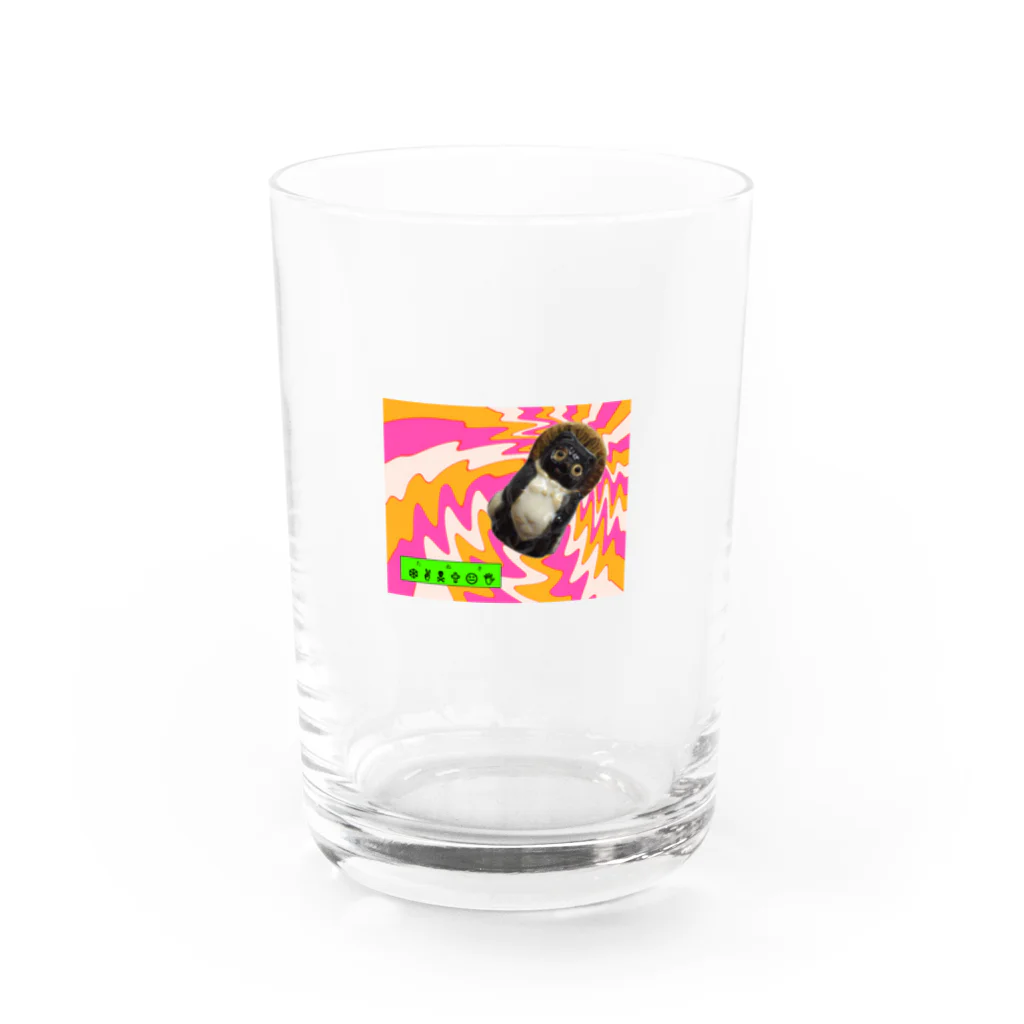 クマ熊のｻｲｹ　な　たぬ Water Glass :front