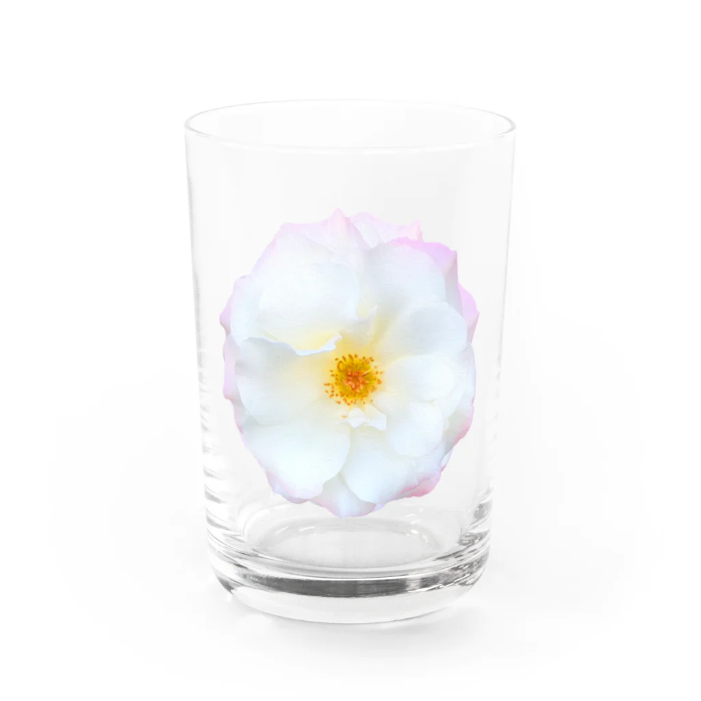 コマタヒチの【可憐】白と薄ピンクと黄色のお花 Water Glass :front