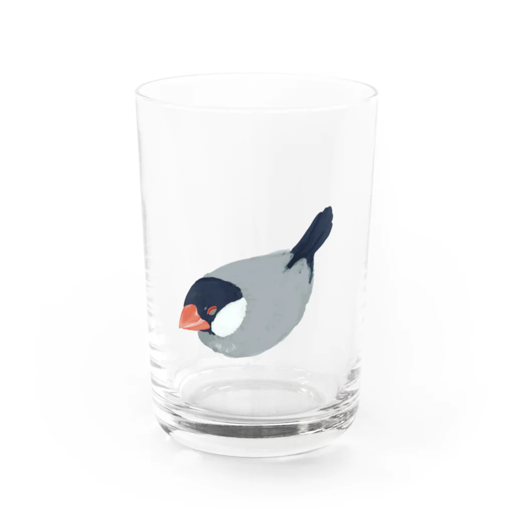 ブンチョのずんだのフクフク文鳥 Water Glass :front