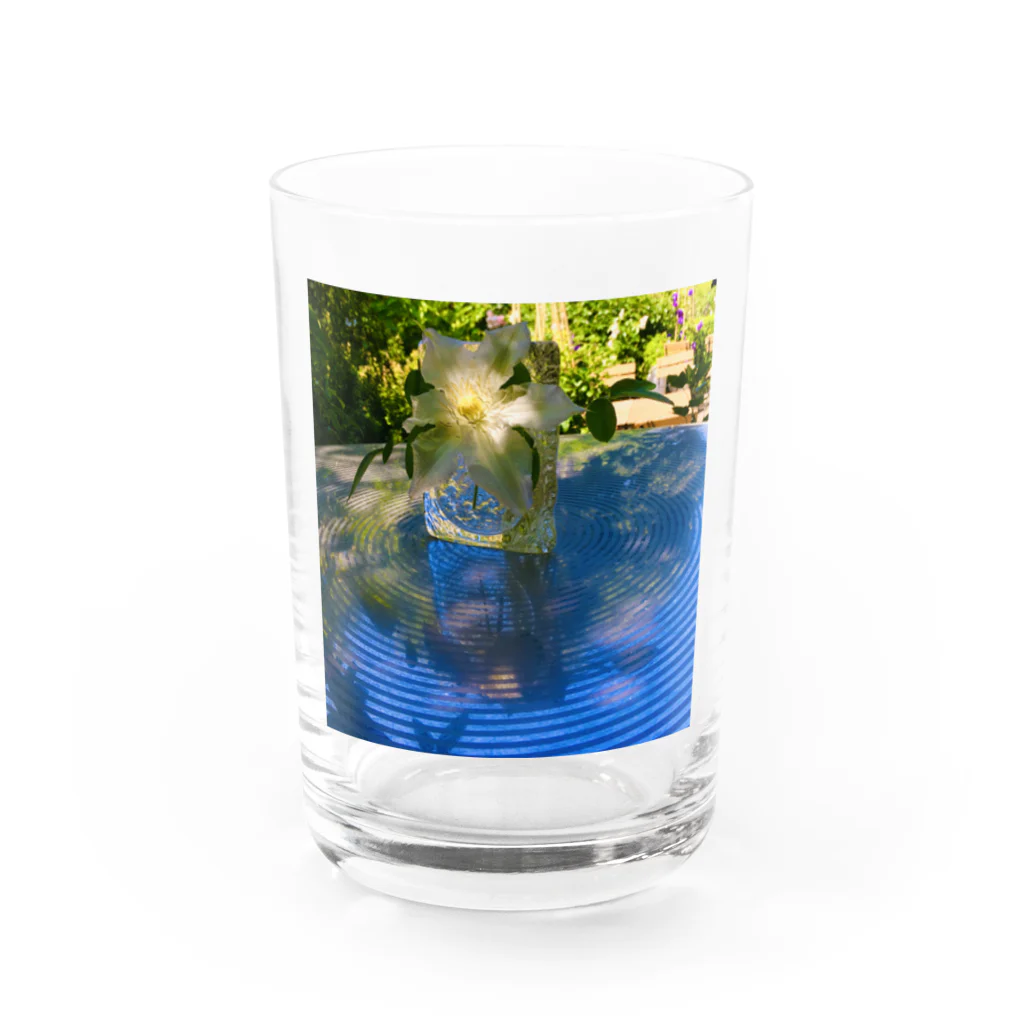 トウメイミドリのトウメイシロのクレマチス Water Glass :front