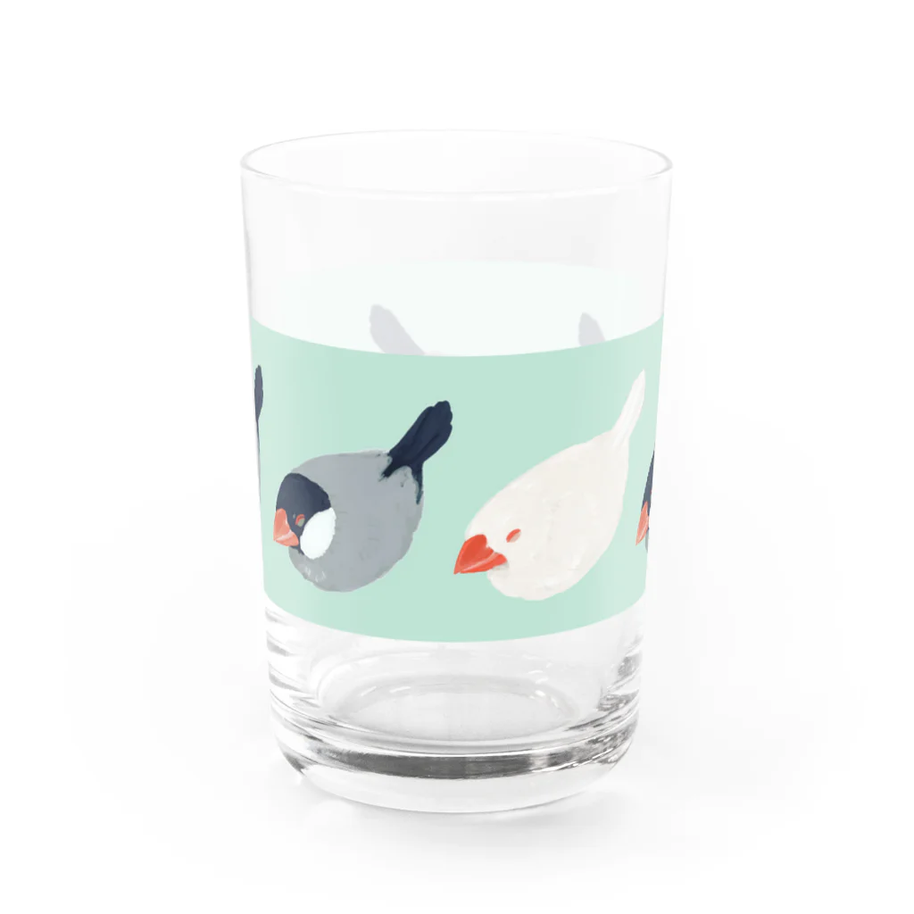 ブンチョのずんだのずらりフクフク文鳥 Water Glass :front