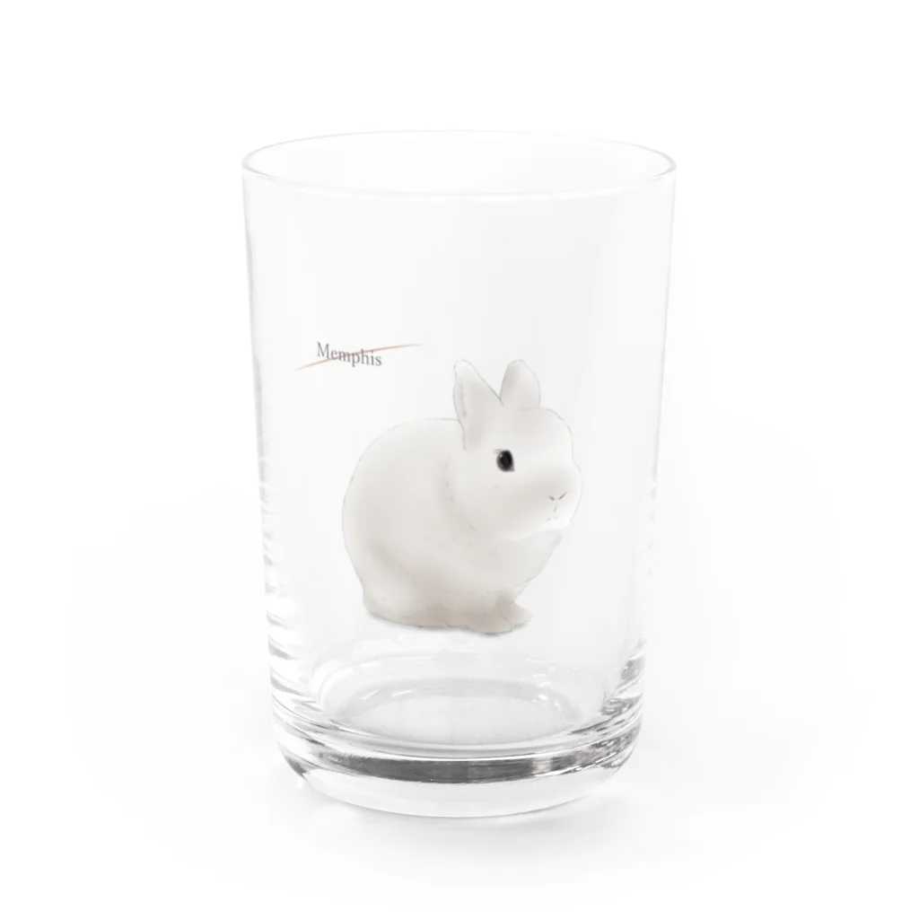 めんふぃすのうさぎ　ネザー Water Glass :front