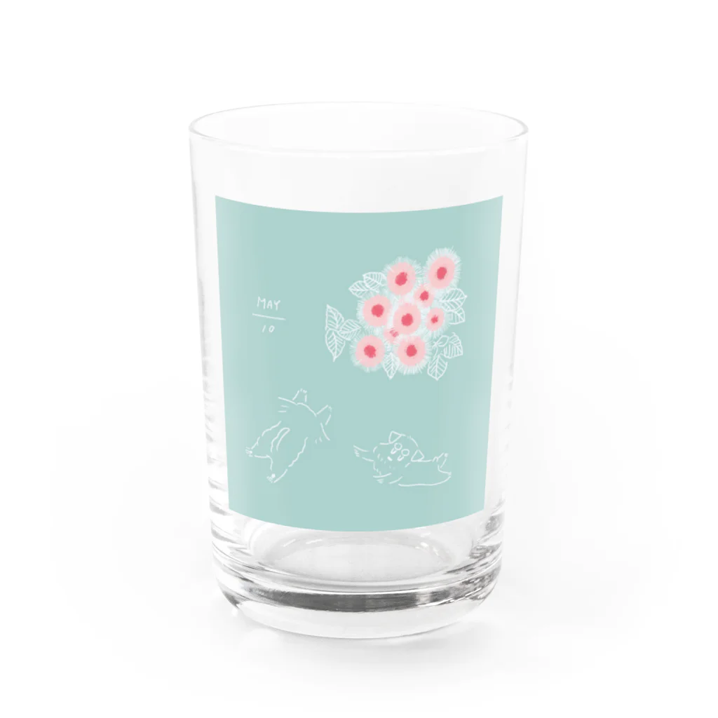 ととめめ/ totomemeのととめめ明日のお花：5月10日 Water Glass :front