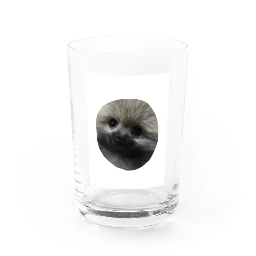 こやま　りなのジャー Water Glass :front