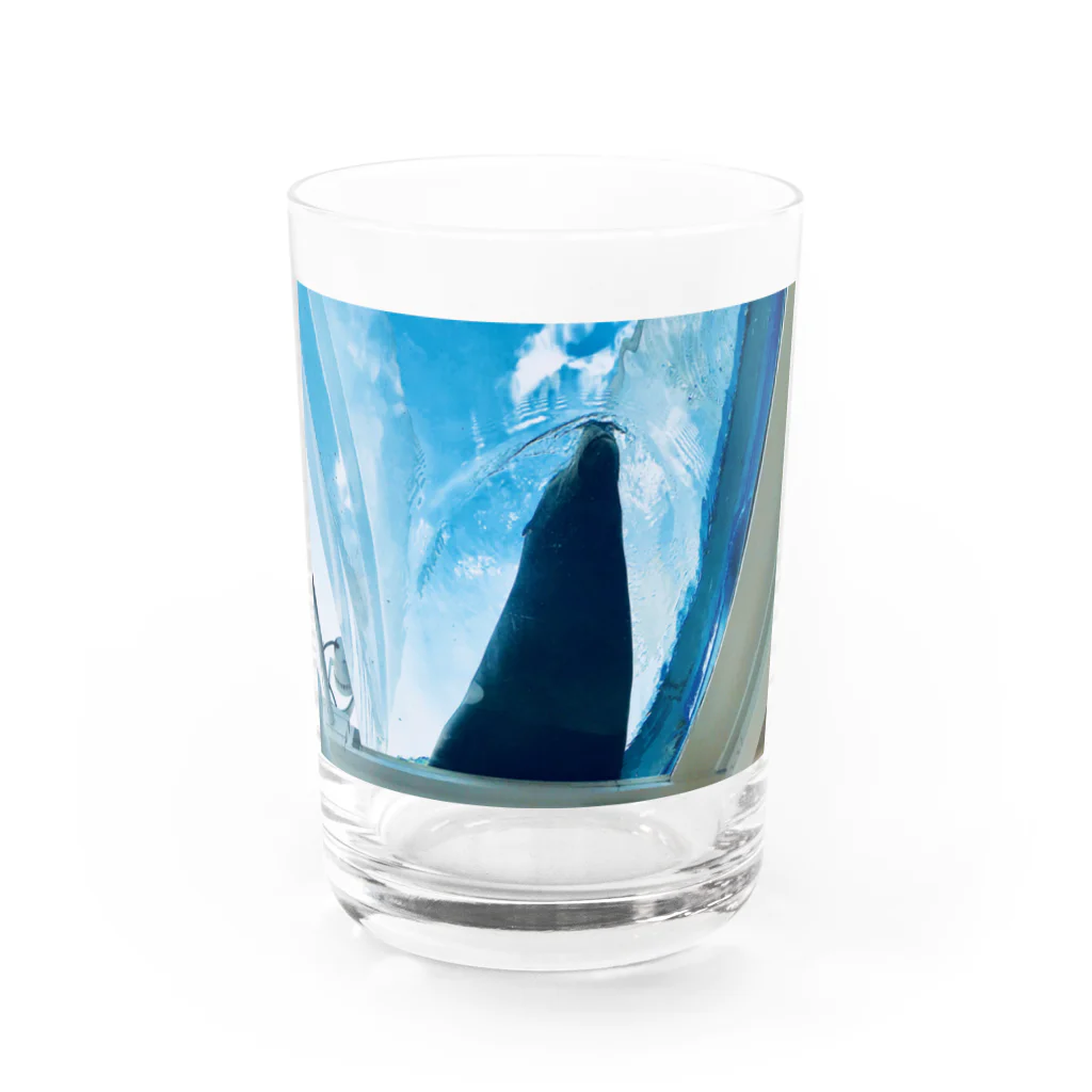 yutoyouのSummer Seal other ver. Water Glass :front