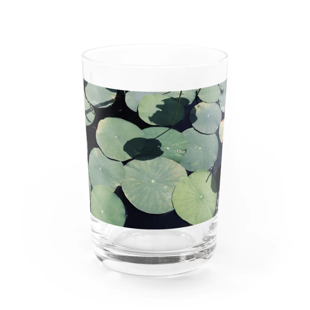 yutoyouの Lotus Leaf Water Glass :front