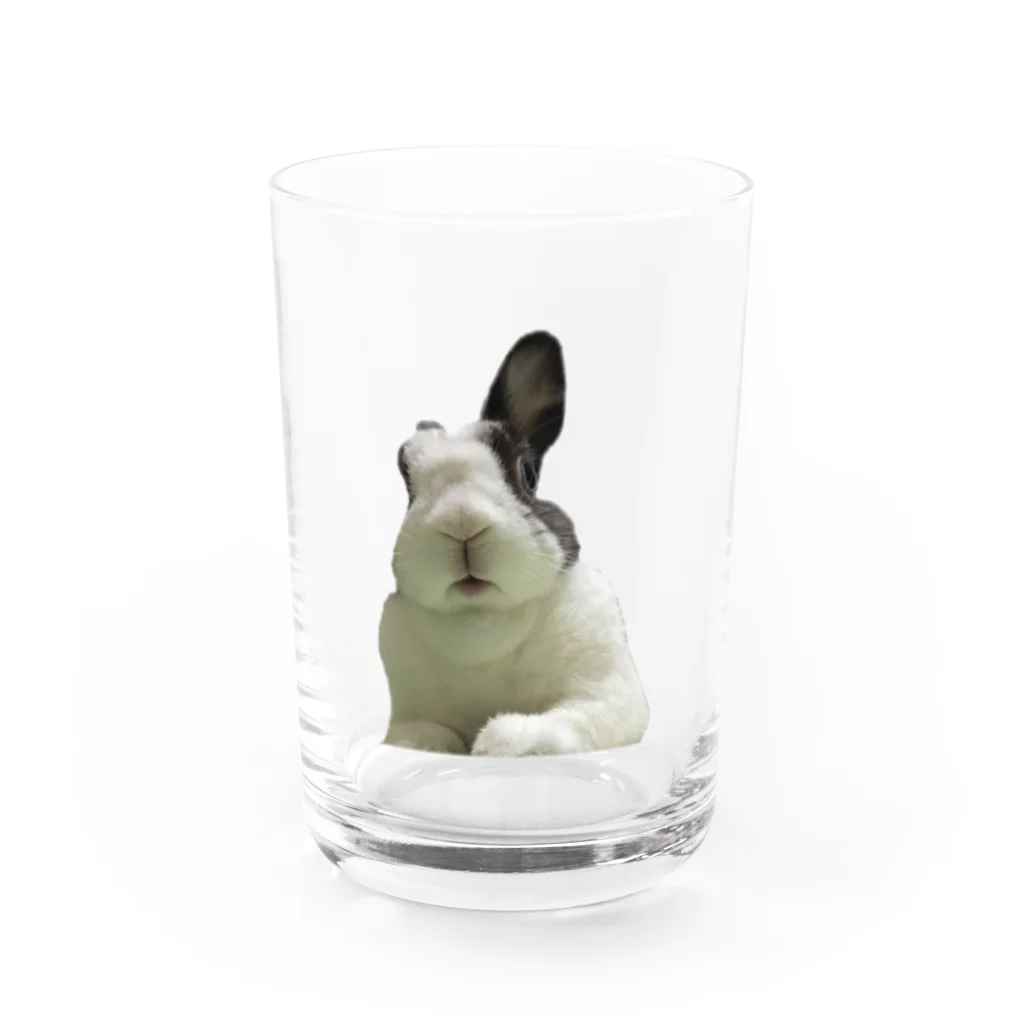 うさぎのきた道&の保護うさぎダイちゃんJ Water Glass :front