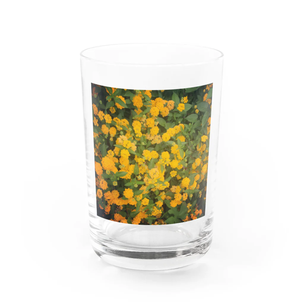 moueewaの黄色い花 Water Glass :front