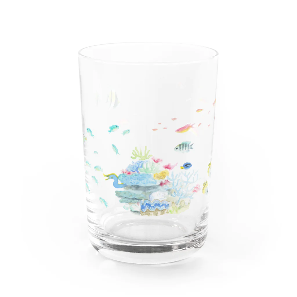 あとりえくらげのサンゴ礁 Water Glass :front