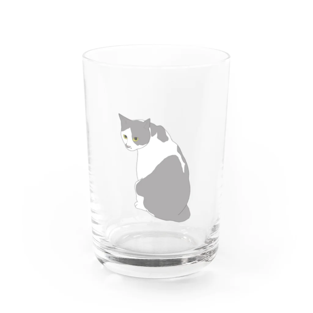 好きなものは見つかったかい？の振り返り猫　小梅くん Water Glass :front