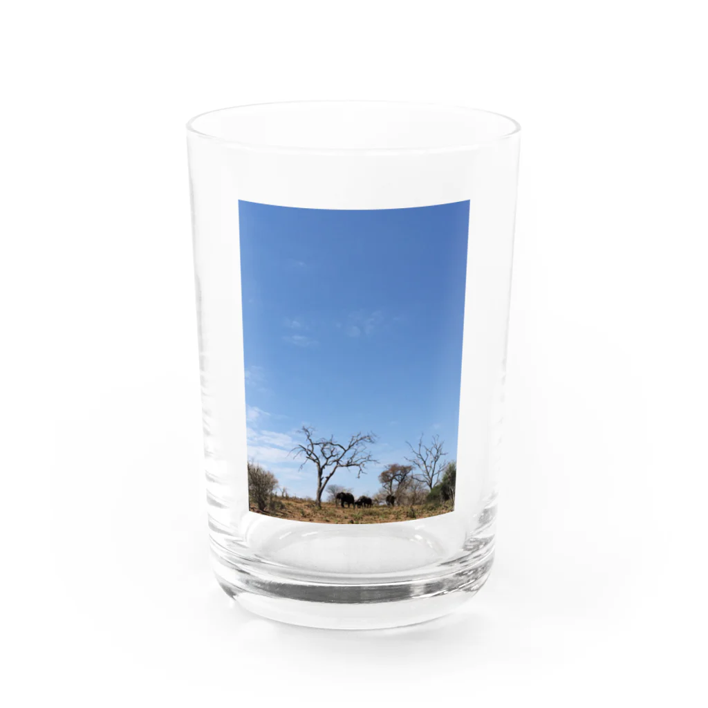 BuBu SHOPのゾウと空 Water Glass :front